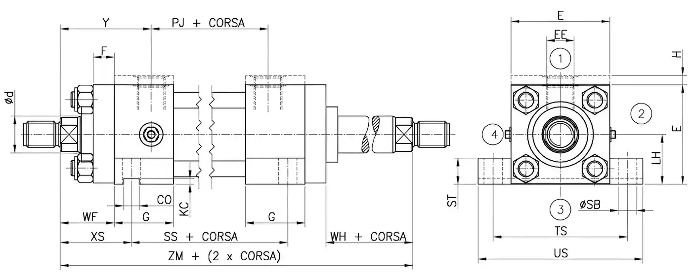 Disegno E ancoraggio doppio stelo ISO MS2