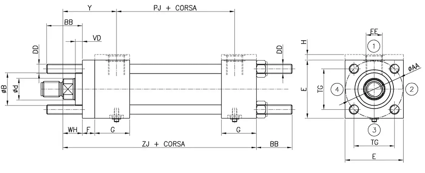 Diesgno Q ancoraggio ISO MX1