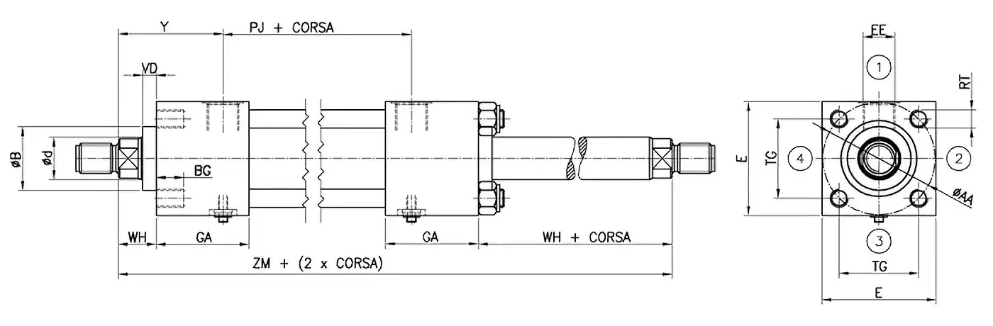 Disegno X ancoraggio doppio stelo ISO MX5 serie DK